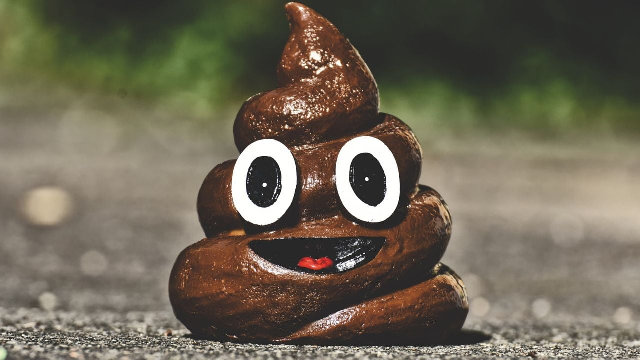 Eine Figur des klassischen Kackhaufen-Emojis, vermutlich aus Ton erstellt.