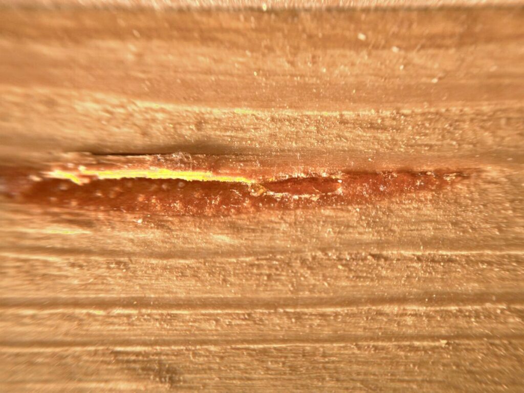 Ein Foto von Harzaustritt aus Holz.