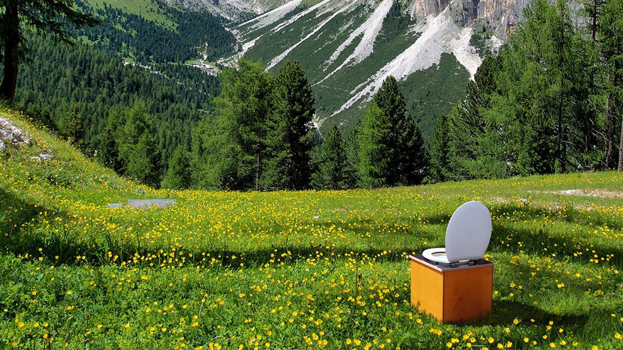 Ein öKlo Mini steht auf einer grünen Wiese mit gelben Blumen vor einem Wald, der sich über aufsteigende Berge erstreckt.